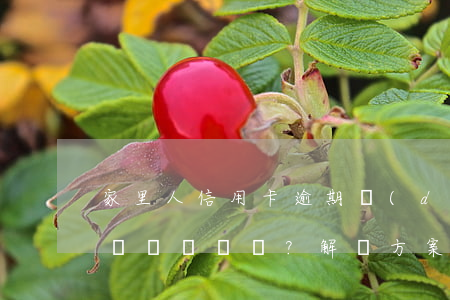 家里人信用卡逾期，對(duì)親人有何影響？解決方案是什么？